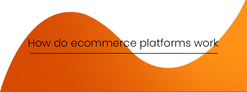 How do ecommerce platforms work